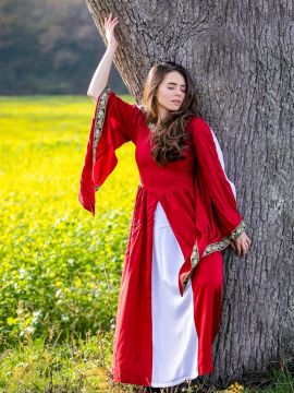 Elegant dress with red-nature border