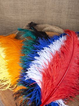 Ostrich feather 50-60 cm white