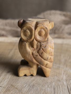 Sound animal owl