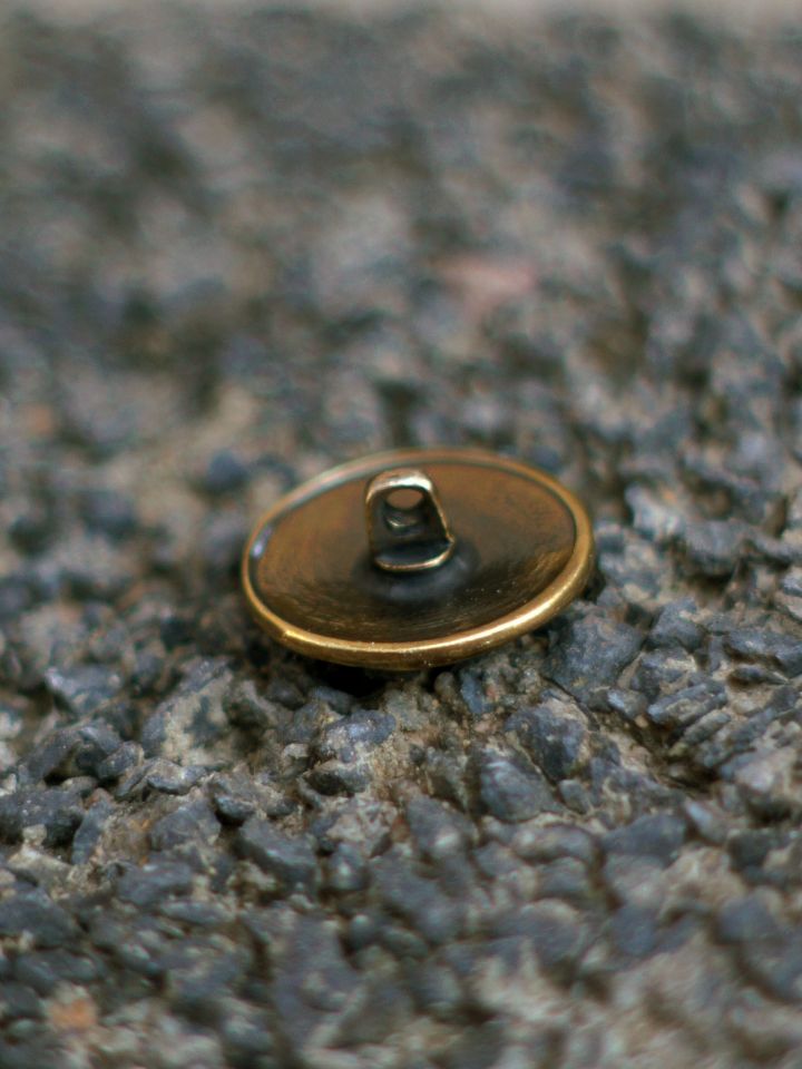 Viking button with brass griffin motif 2