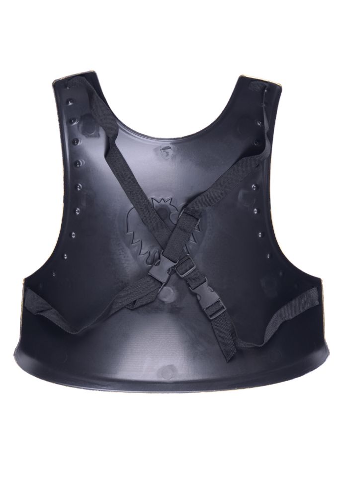 Knight's breastplate in two colors for children 2