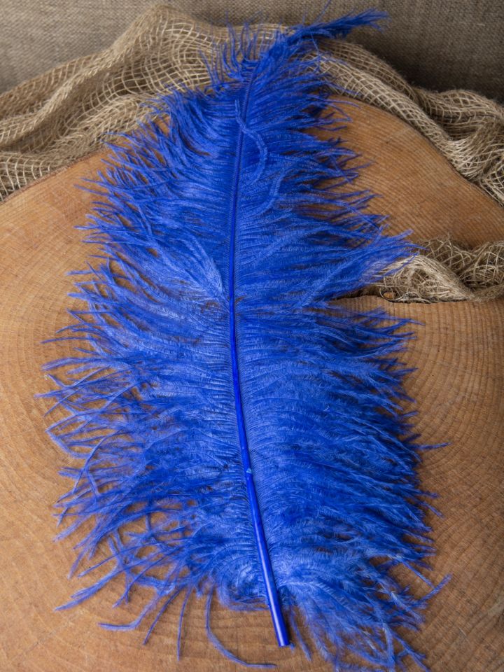 Ostrich feather 50-60 cm orange 2