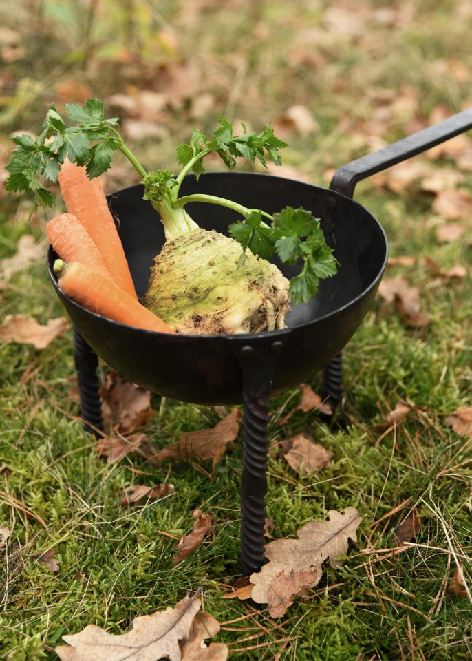 Tripod pan, hand-forged 2