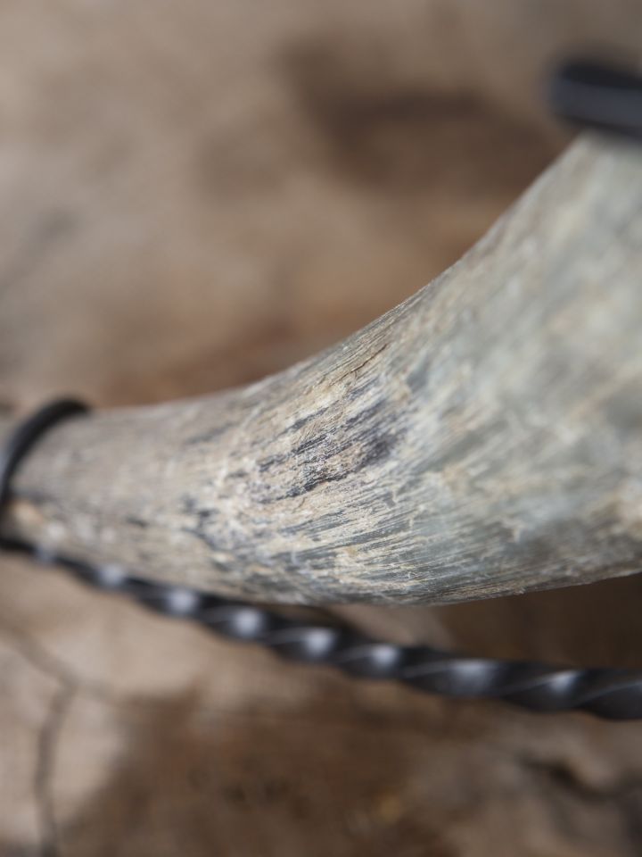 Drinking Horn raw 2