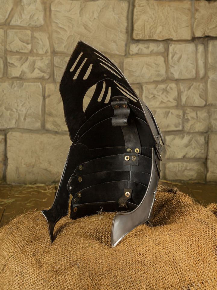 Helmet Reginald 3