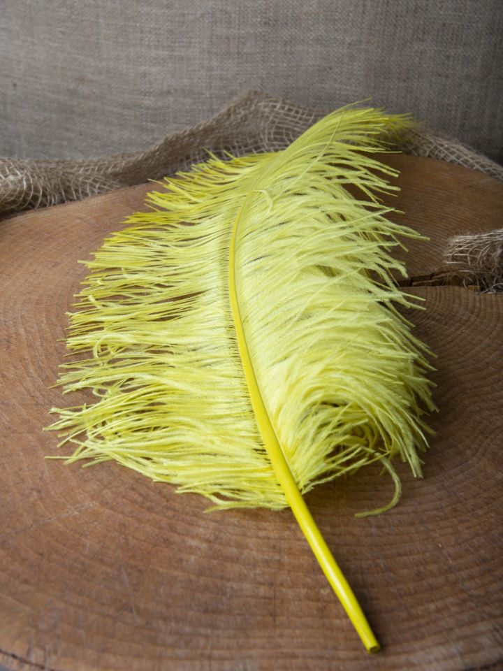 Ostrich feather 50-60 cm orange 3