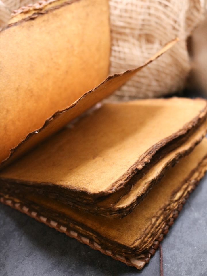 antique leather book - compass 4