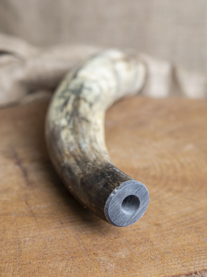 Raw call horn 4