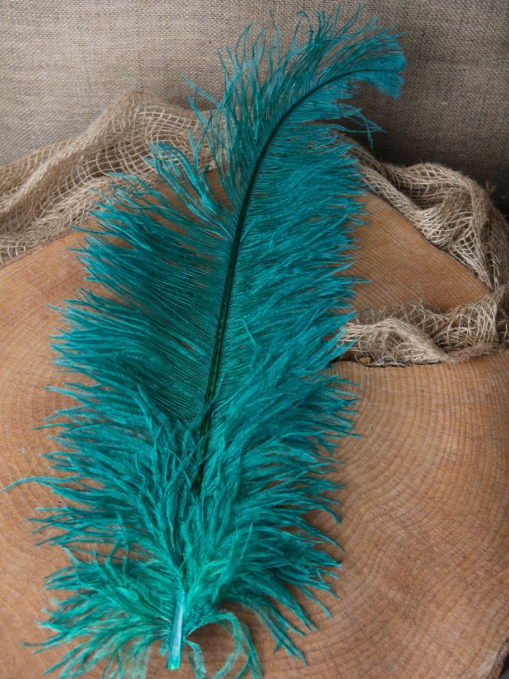 Ostrich feather 50-60 cm orange 4