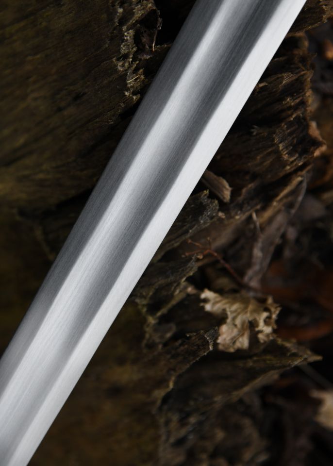 Viking sword for light show fighting, SK-C 5