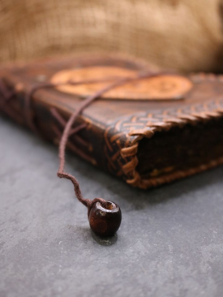 antique leather book - compass 5
