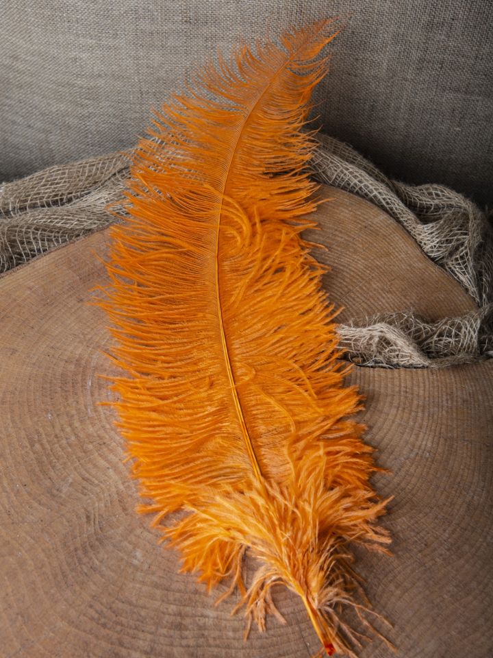 Ostrich feather 50-60 cm orange 5
