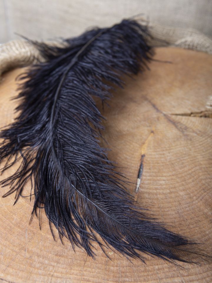 Ostrich feather 50-60 cm orange 6