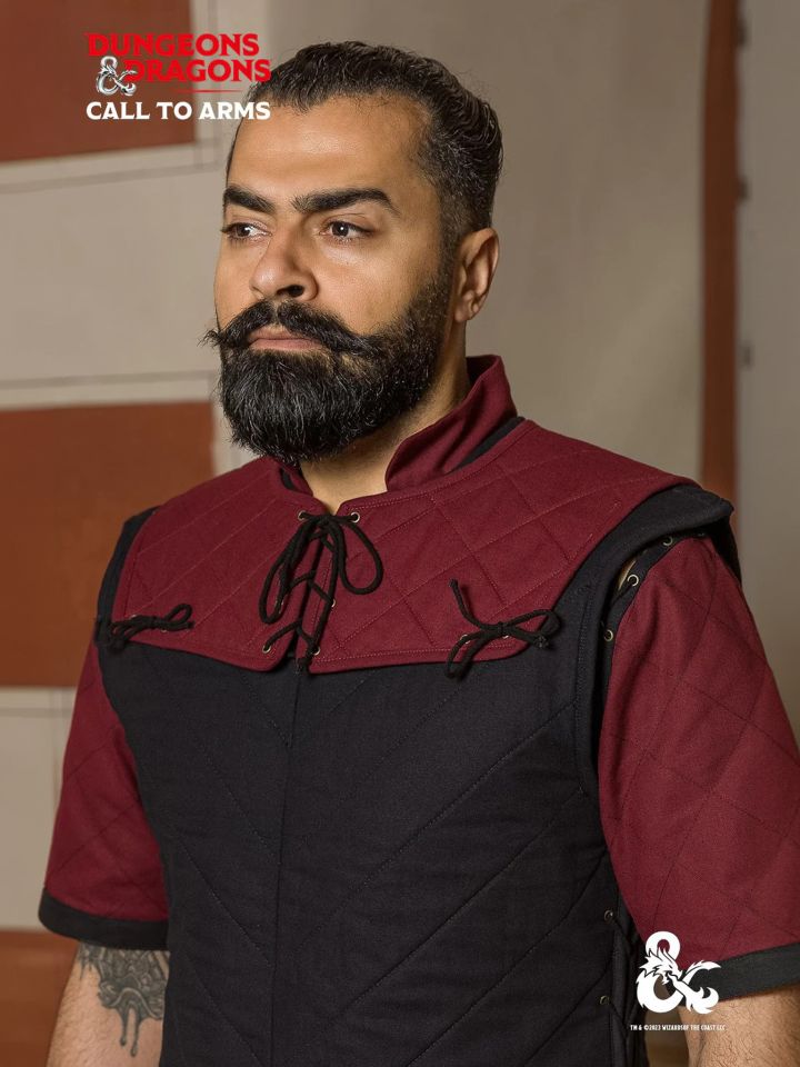 D&D fighter collar bordeaux 7