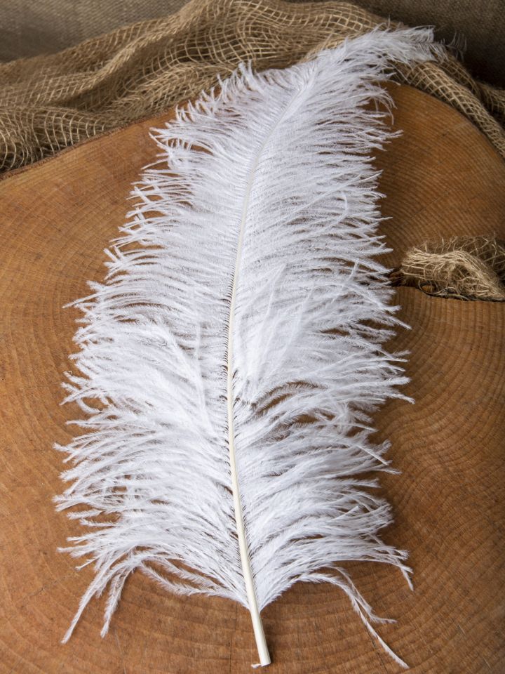 Ostrich feather 50-60 cm orange 7
